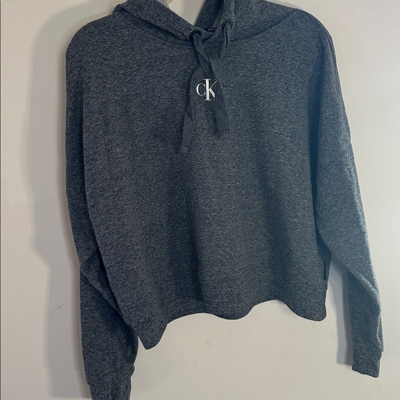 Calvin Klein Jeans Cropped Hoodie Gray Women’s Large CK Logo - Picture 3 of 8